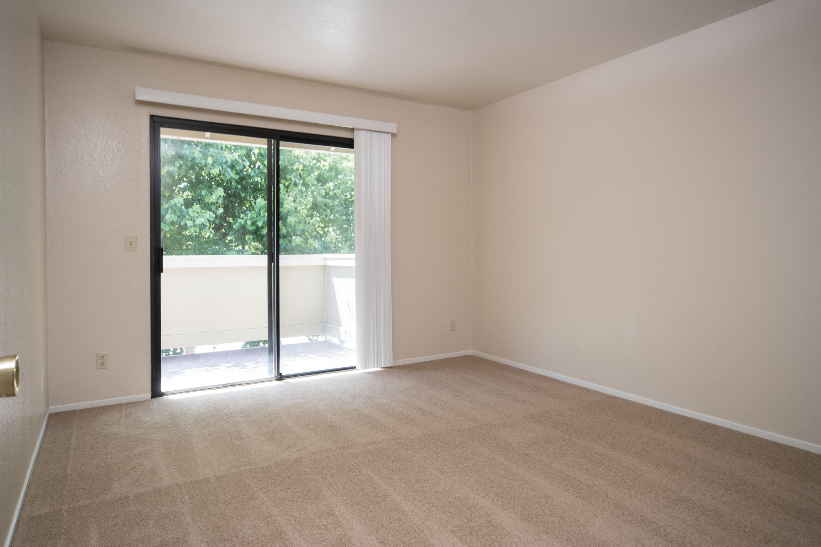 The Meadows Apartments photo 2